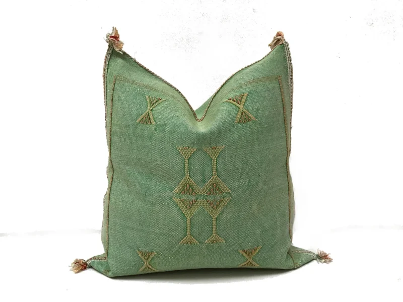 Sabra Silk cushion pillow-5