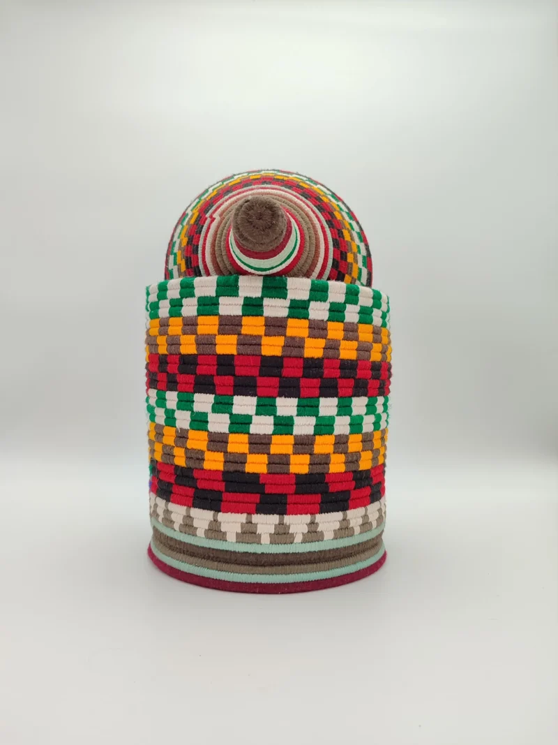 Colorful Palm Basket