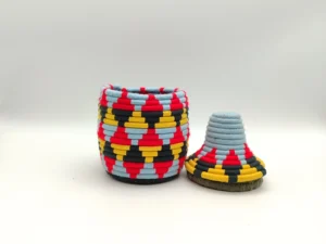 Colorful Palm Basket