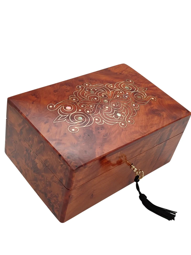 Iberian Thuya Boxe
