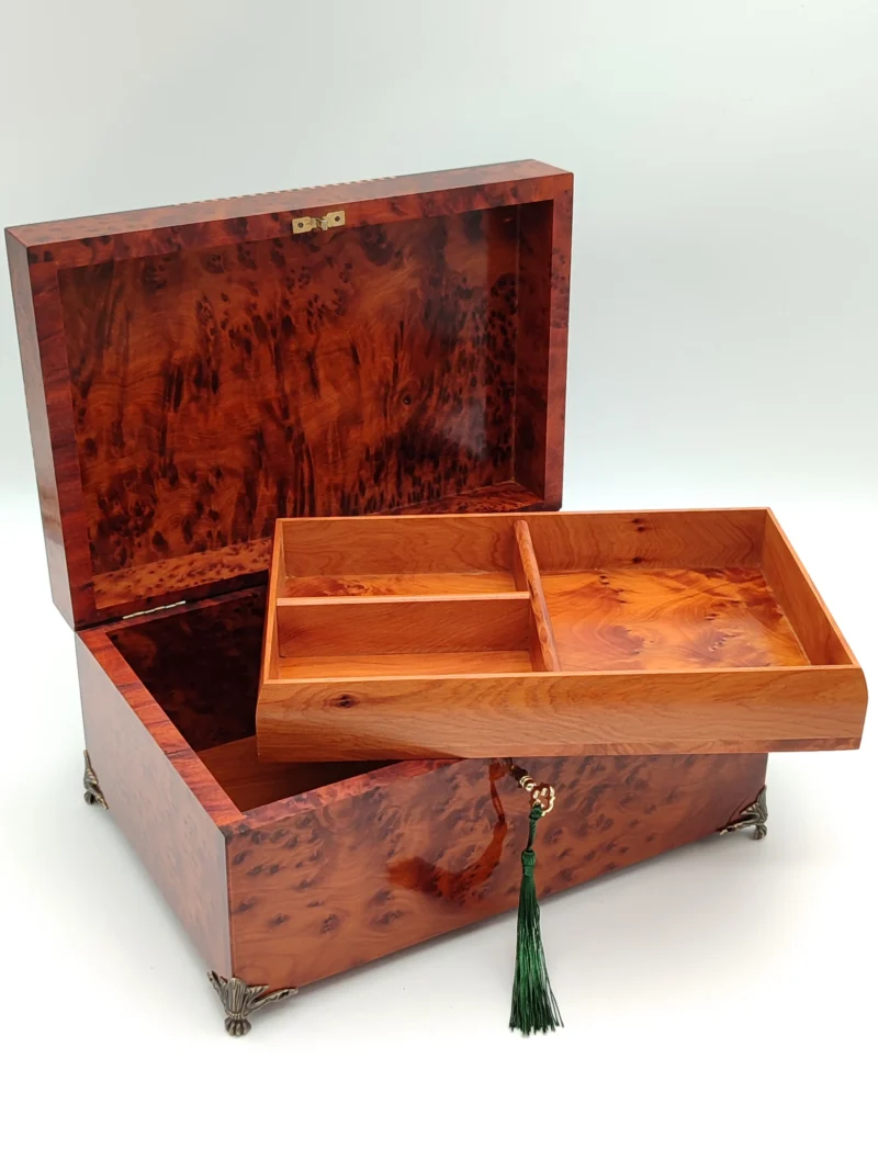 Iberian Thuya Boxe