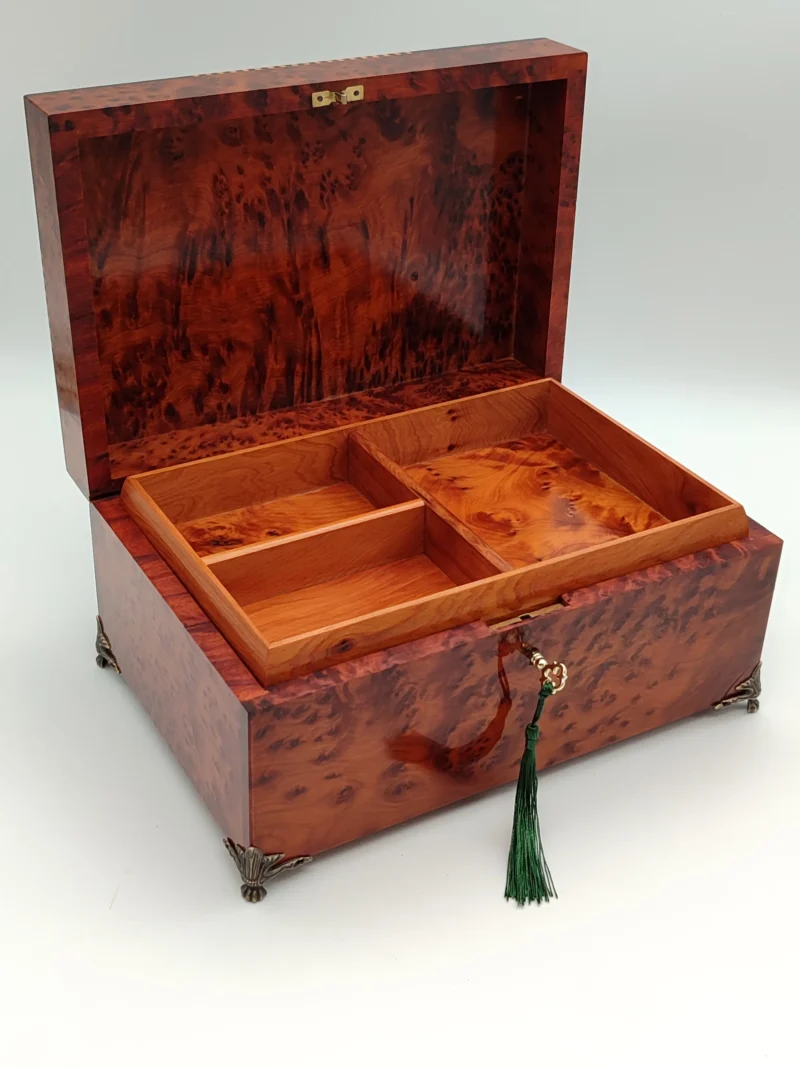 Iberian Thuya Boxe