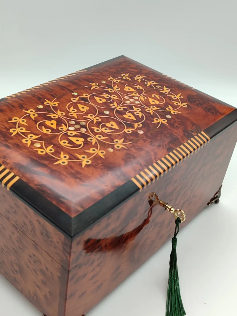 Iberian Thuya Boxe