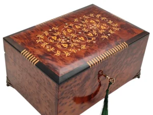 Iberian Thuya Boxe