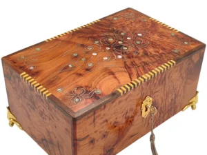 Iberian Thuya Boxe