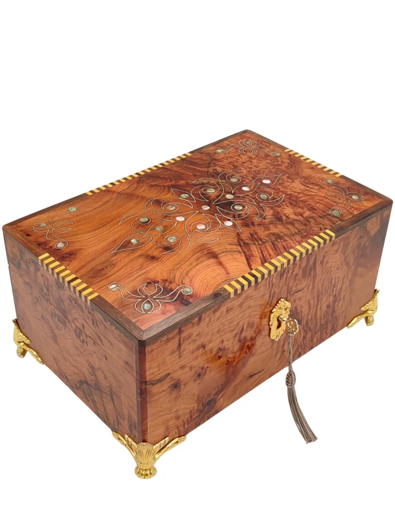 Iberian Thuya Boxe