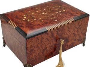 Iberian Thuya Boxe