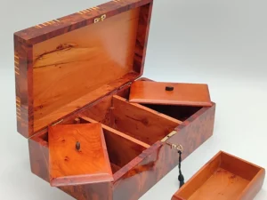 Iberian Thuya Boxe