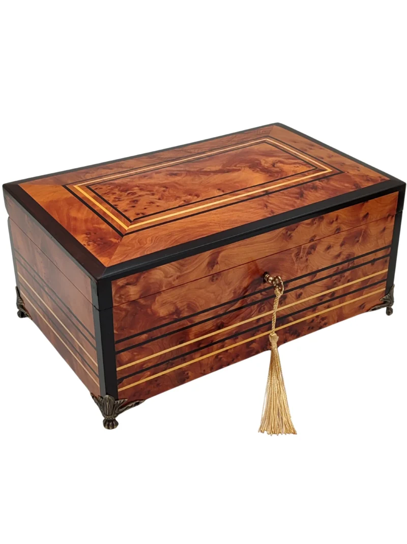 Royal thuya Box 7