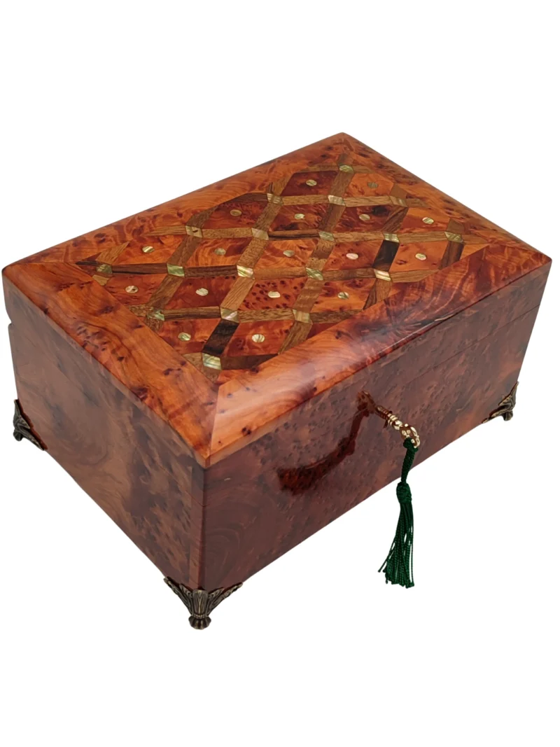 Royal thuya Box 8