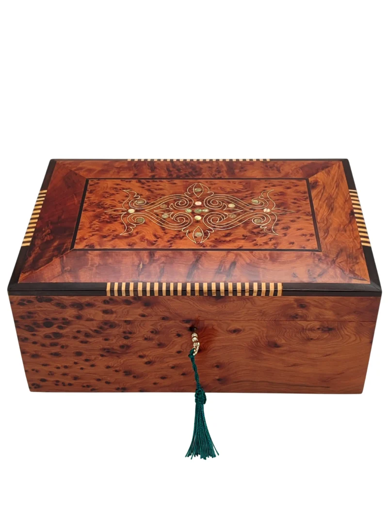 Iberian Thuya Boxe