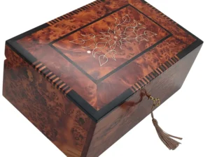 Iberian Thuya Boxe