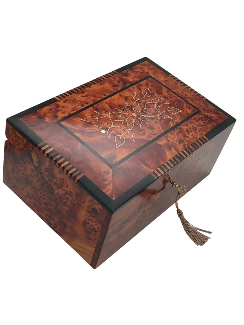 Iberian Thuya Boxe