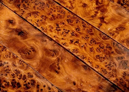 Thuya wood burl Thuya wood burl