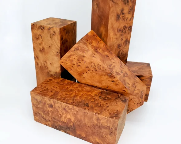 Thuya wood roots Thuya wood roots